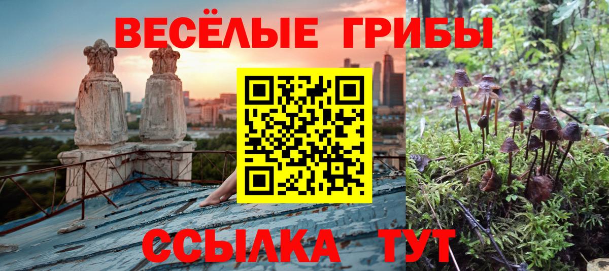 Галлюциногенные грибы мухоморы  Вход с VPN  Белорецк 